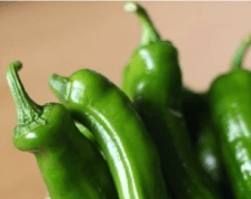 Bhutta/Corn