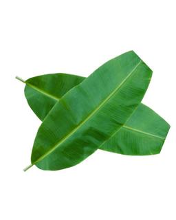 Banana Leafs