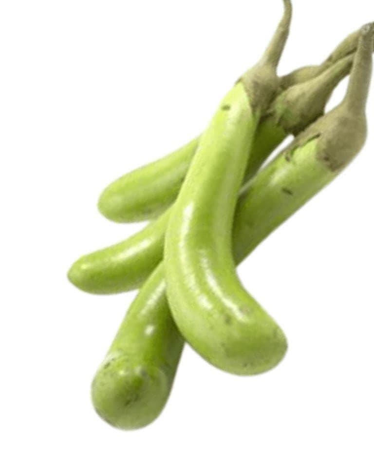 Green Brinjal