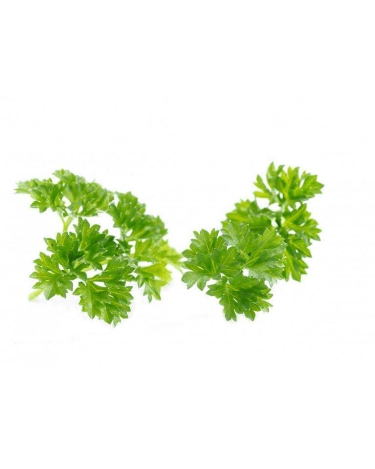 Parsley