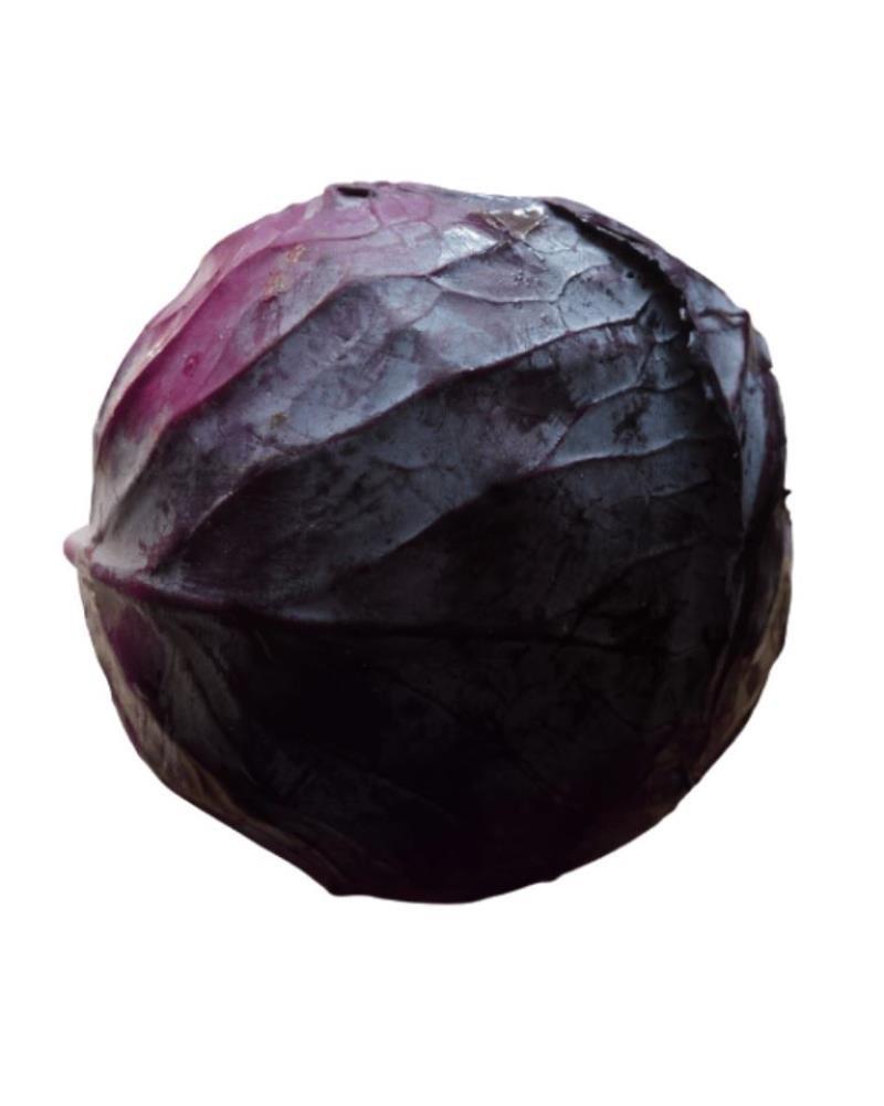 Red Cabbage