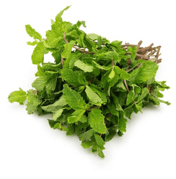 Pudina Mint Leaves