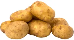 Potato New Crop Offer