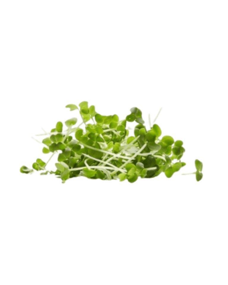 Micro Greens Mustard leaves
